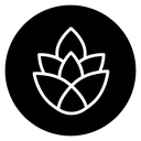 Fir cone icon