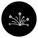Fireworks Black Filled icon