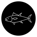 Fish 2 icon