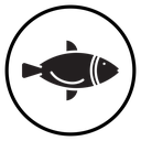 Fish icon