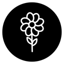 Flower 2 icon