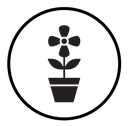 Flower in pot icon