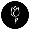 Flower tulip icon