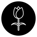 Flower tulip 2 icon