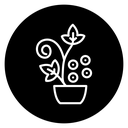 Flowering Houseplant icon