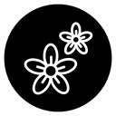 Flowers icon