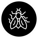 Fly insect 2 icon