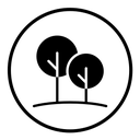 Forest and park trees icon