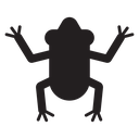 Frog icon