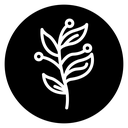 Golden Wattle icon