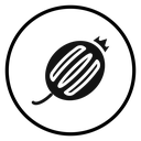 Gooseberry icon