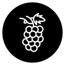 Grape 2 icon