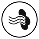 Gust icon