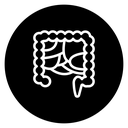 Gut icon