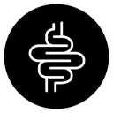 Gut icon