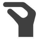 Hand Lizard icon