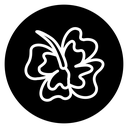 Hawaiian flower icon