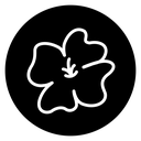 Hawaiian flower icon