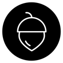 Hazelnut icon