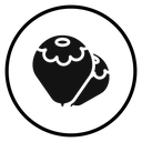Hazelnut icon
