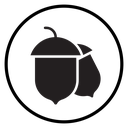 Hazelnut icon
