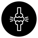 Herniated disc icon