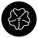 Hibiscus Bloom icon