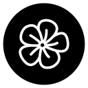 Hibiscus Flower icon