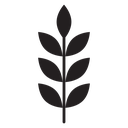 High fiber food icon