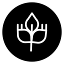 High fiber food icon