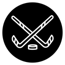 Hockey sticks 2 icon