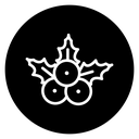 Holly Berries Black Filled icon