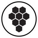 Honeycomb Black Filled icon
