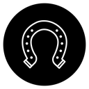 Horseshoe 2 icon