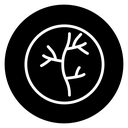 Human artery icon