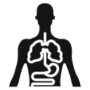 Human body anatomy icon