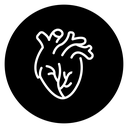 Human heart icon