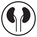 Human kidneys icon