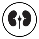 Human kidneys icon