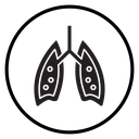 Human lungs icon