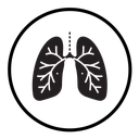 Human lungs icon