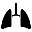 Human Lungs Trachea icon