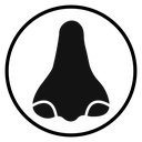Human Nose icon