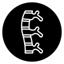 Human spine icon