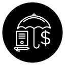 Insurance policy icon