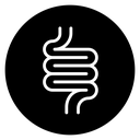 Intestine icon