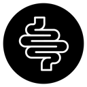 Intestines icon