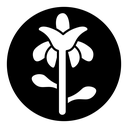 Iris icon