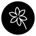 Jasmine 2 icon
