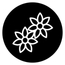 Jasmine icon